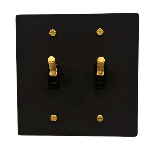 Brass Modern Toggle Light Switch (2-Gang) Matte Black With Satin Brass