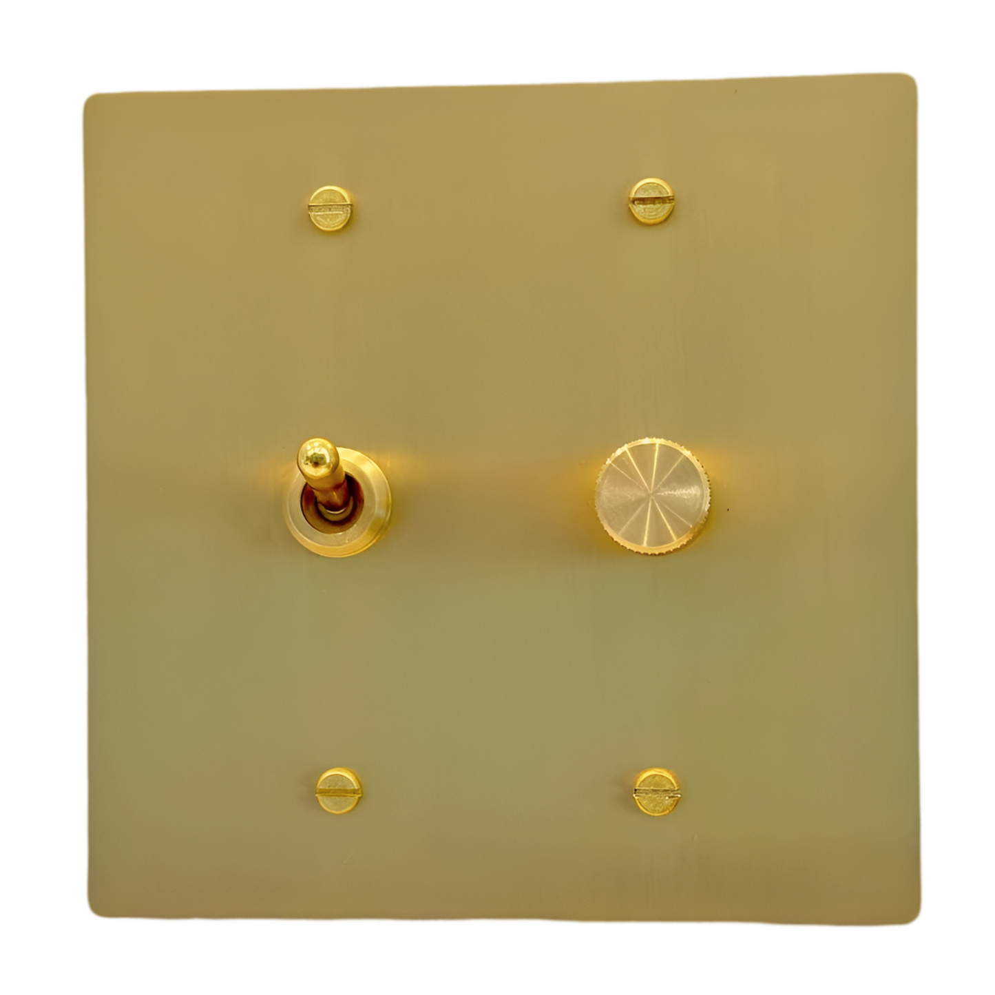 Brass Vintage Toggle Switch + Dimmer Switch (2-Gang) Satin Brass