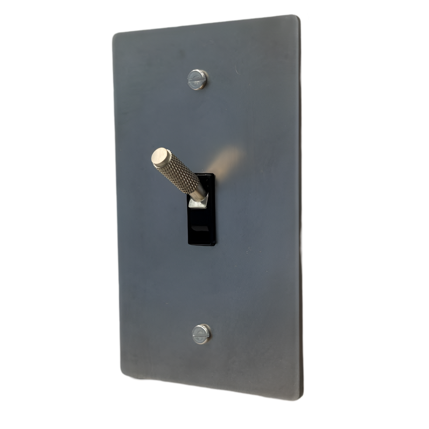 Brass Modern Toggle Light Switch (1-Gang) Stainless Steel