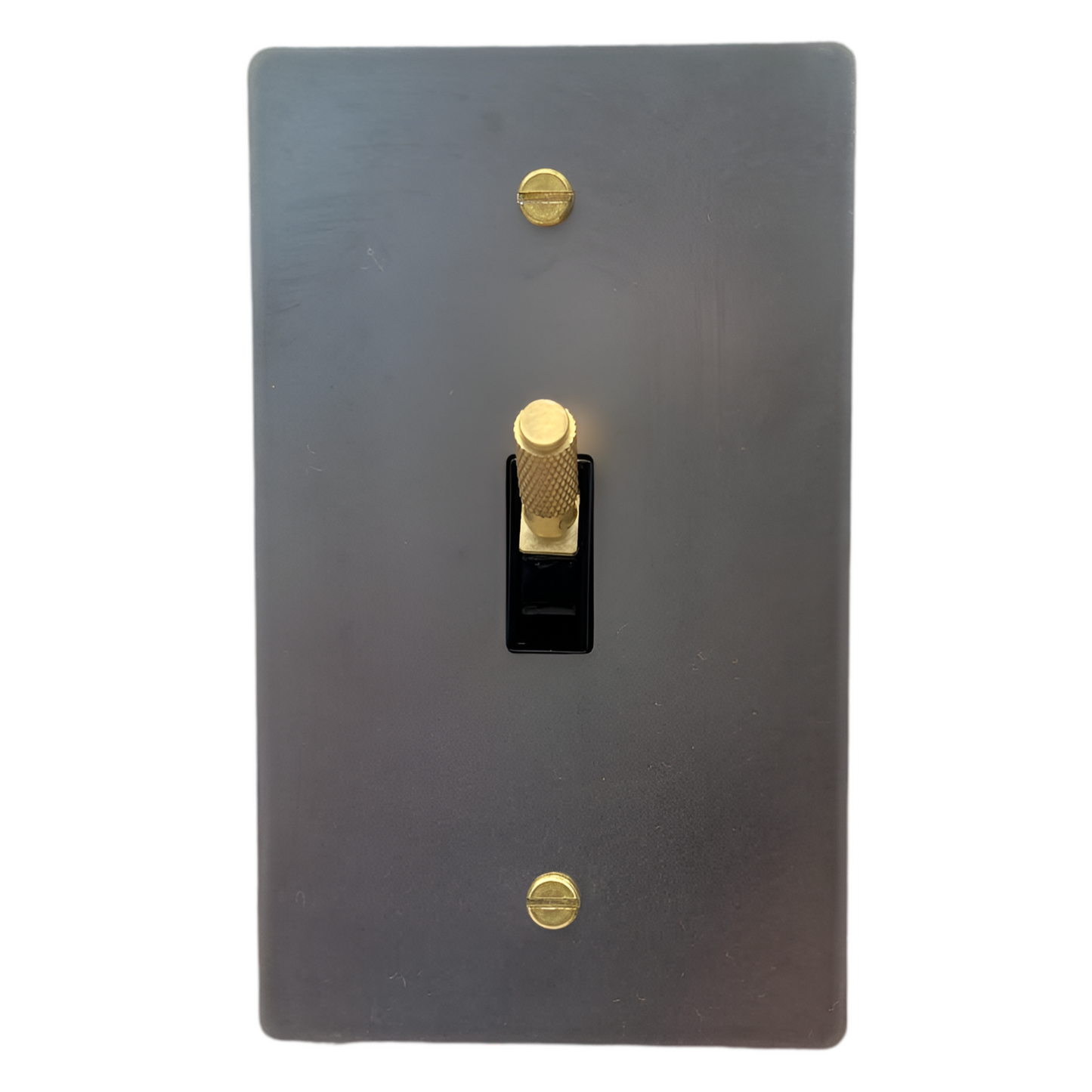 Brass Modern Toggle Light Switch (1-Gang) Stainless Steel With Satin Brass