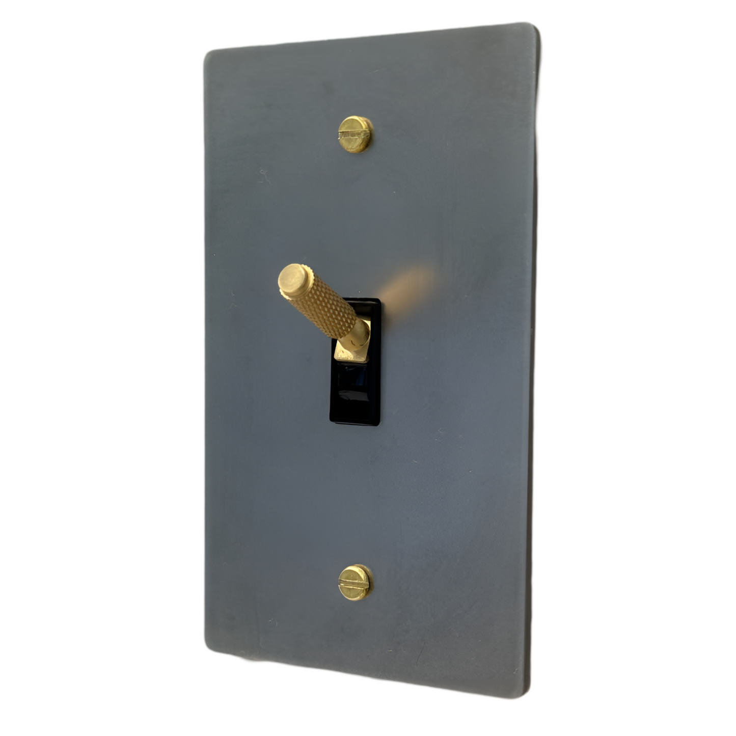 Brass Modern Toggle Light Switch (1-Gang) Stainless Steel With Satin Brass