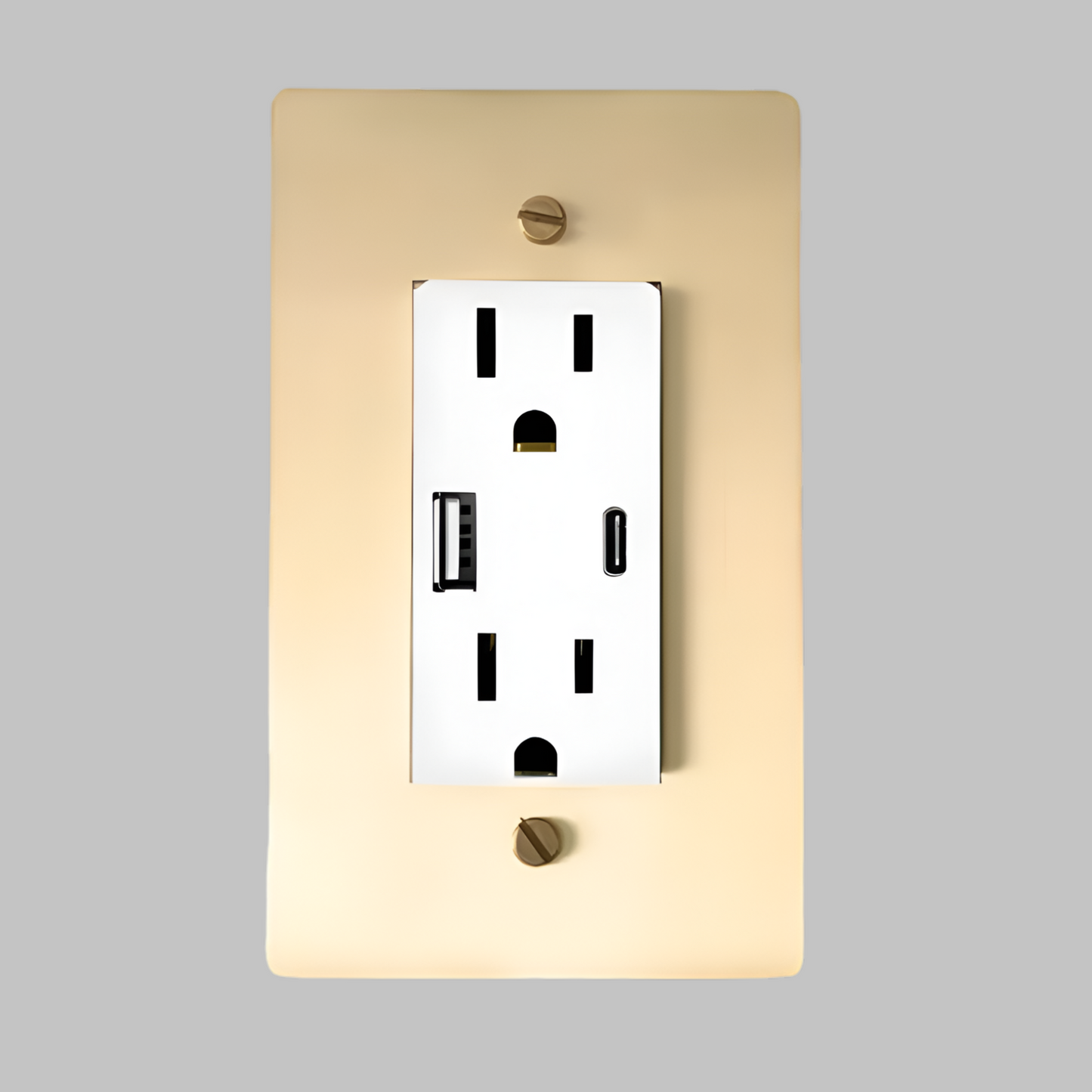 Brass USB/ Type C Outlet (1-Gang) Satin Brass With White