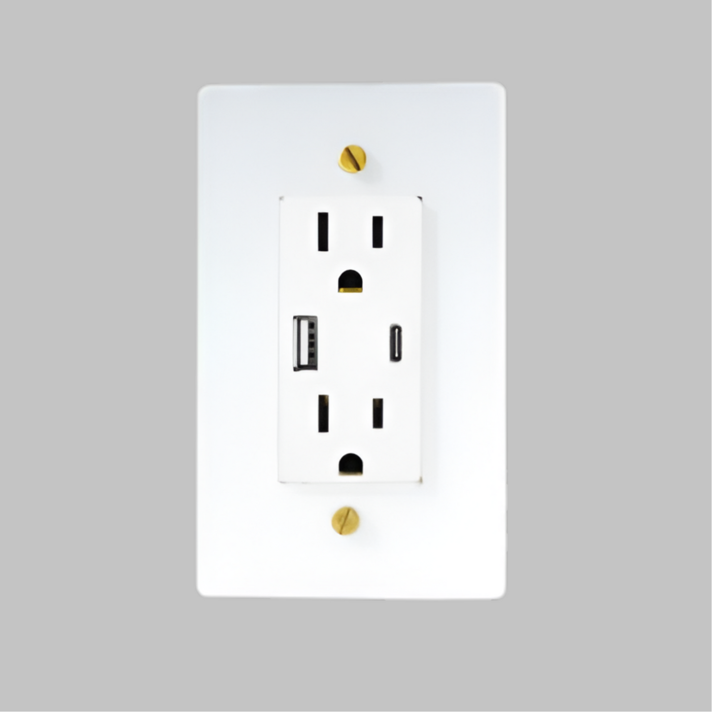 Brass USB/ Type C Outlet (1-Gang) White With Satin Brass