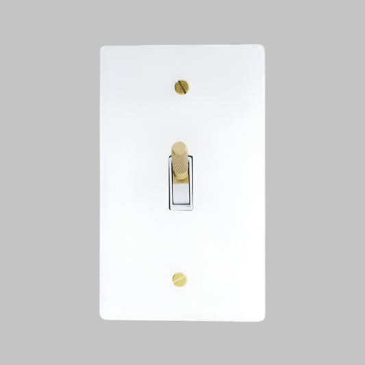 Brass Modern Toggle Light Switch (1-Gang) White With Satin Brass