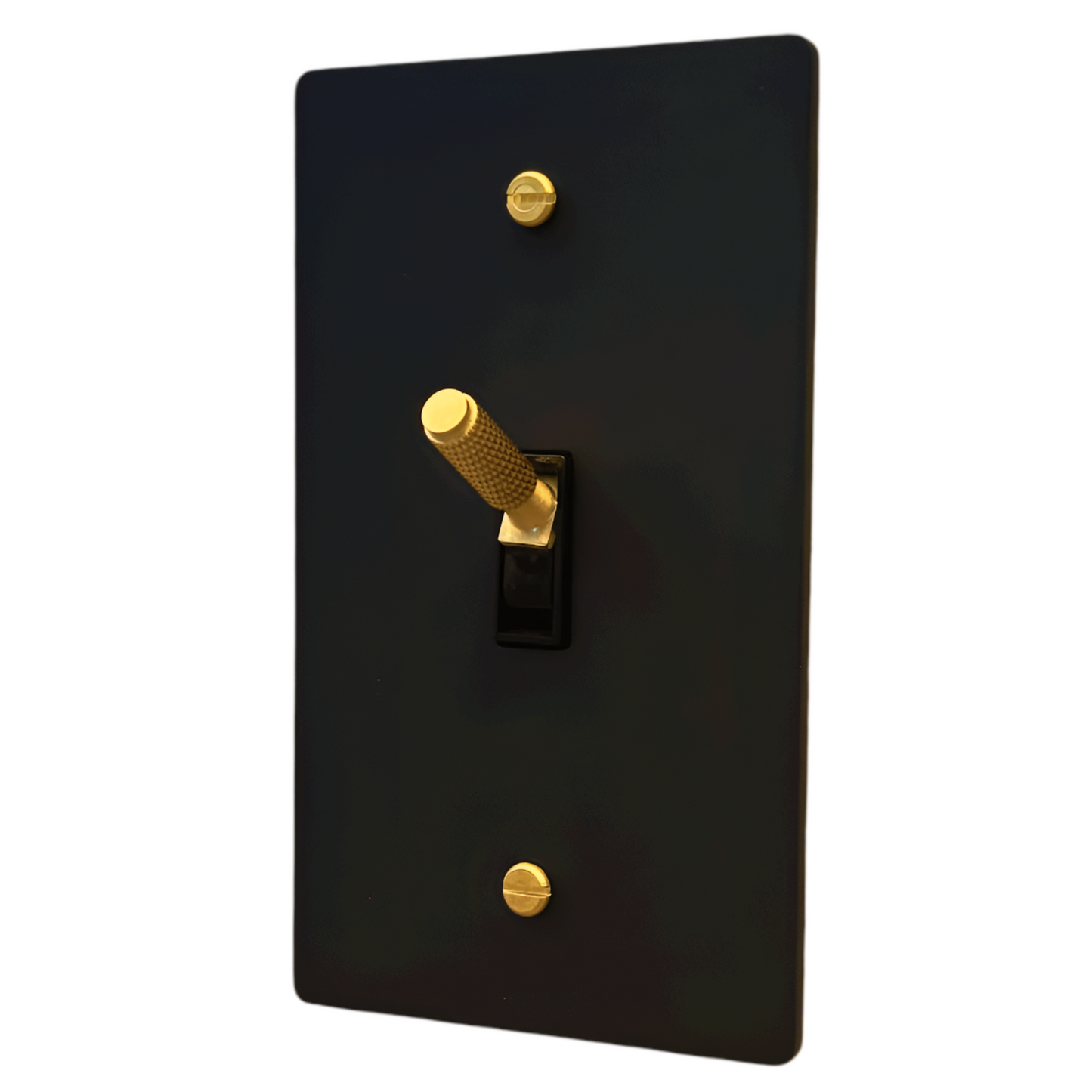 Brass Modern Toggle Light Switch (1-Gang) Matte Black With Satin Brass