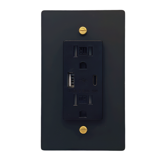 Brass USB/ Type C Outlet (1-Gang) Matte Black With Satin Brass