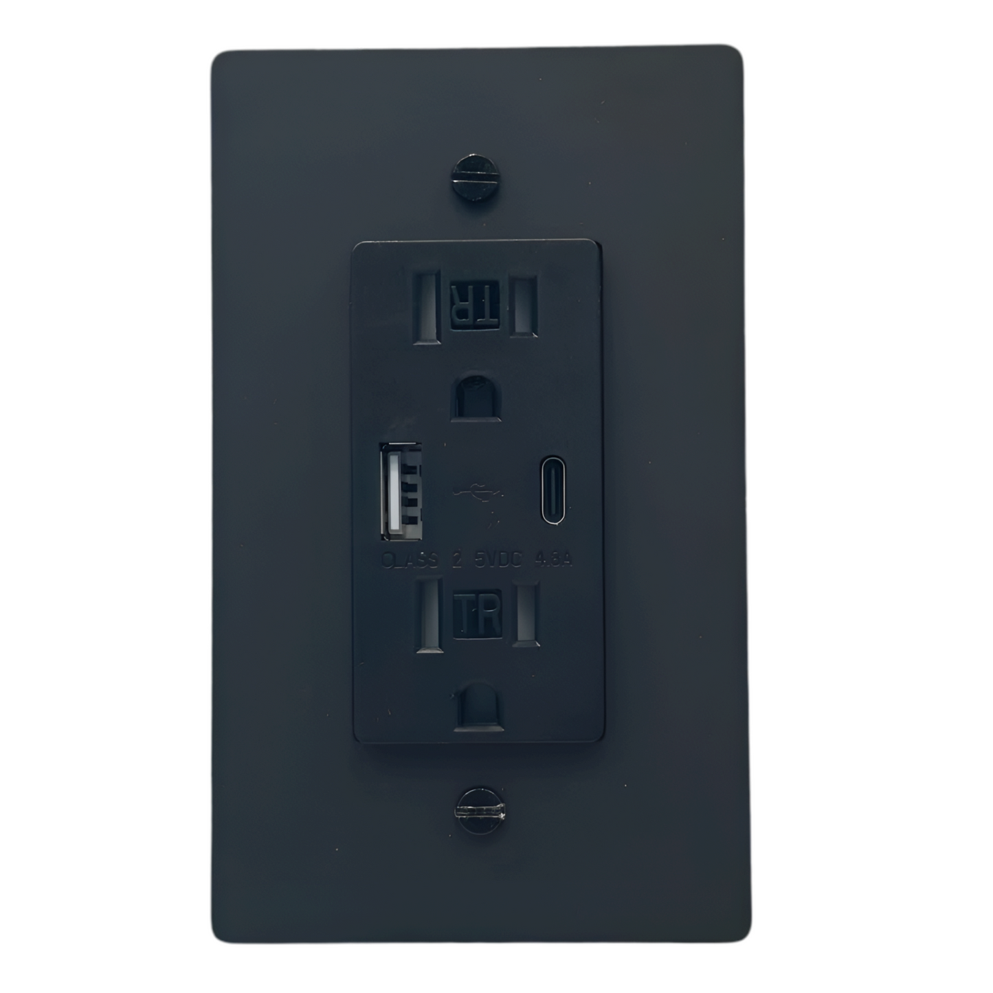 Brass USB/ Type C Outlet (1-Gang) Matte Black