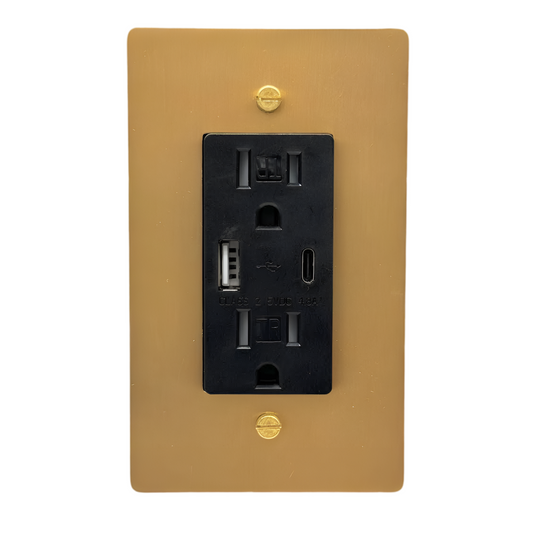 Brass USB/ Type C Outlet (1-Gang) Satin Brass