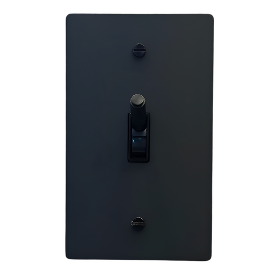 Brass Modern Toggle Light Switch (1-Gang) Matte Black