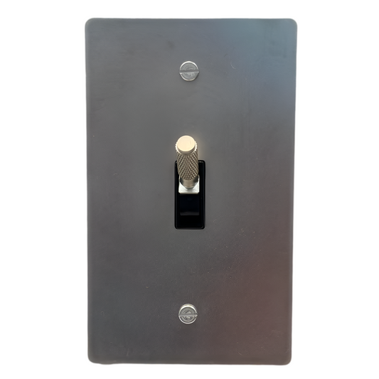 Brass Modern Toggle Light Switch (1-Gang) Stainless Steel