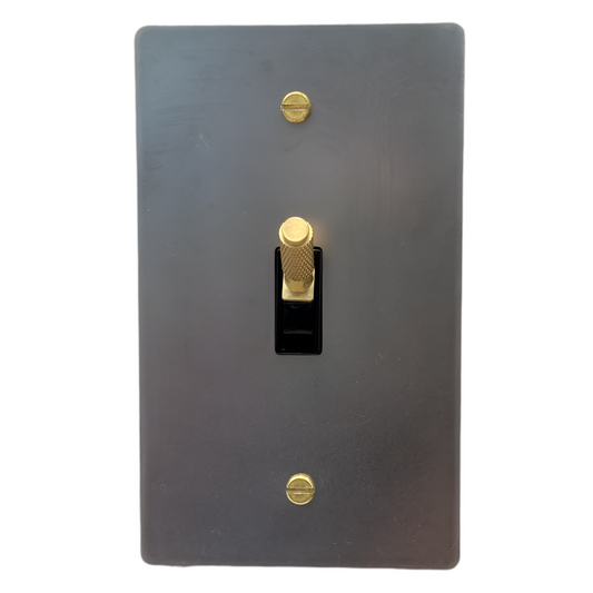 Brass Modern Toggle Light Switch (1-Gang) Stainless Steel With Satin Brass