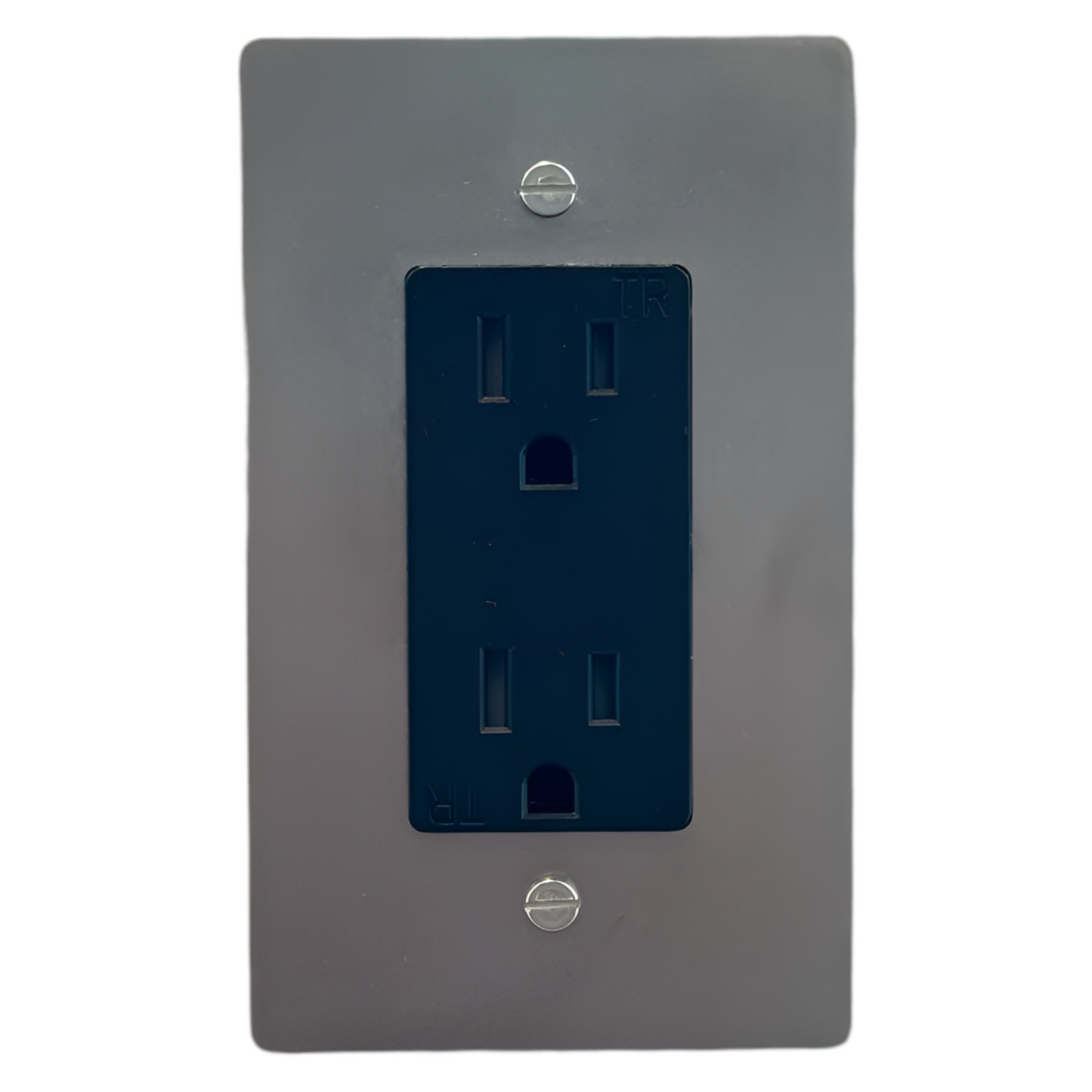 Brass Standard 15A Outlet (1-Gang) Stainless Steel