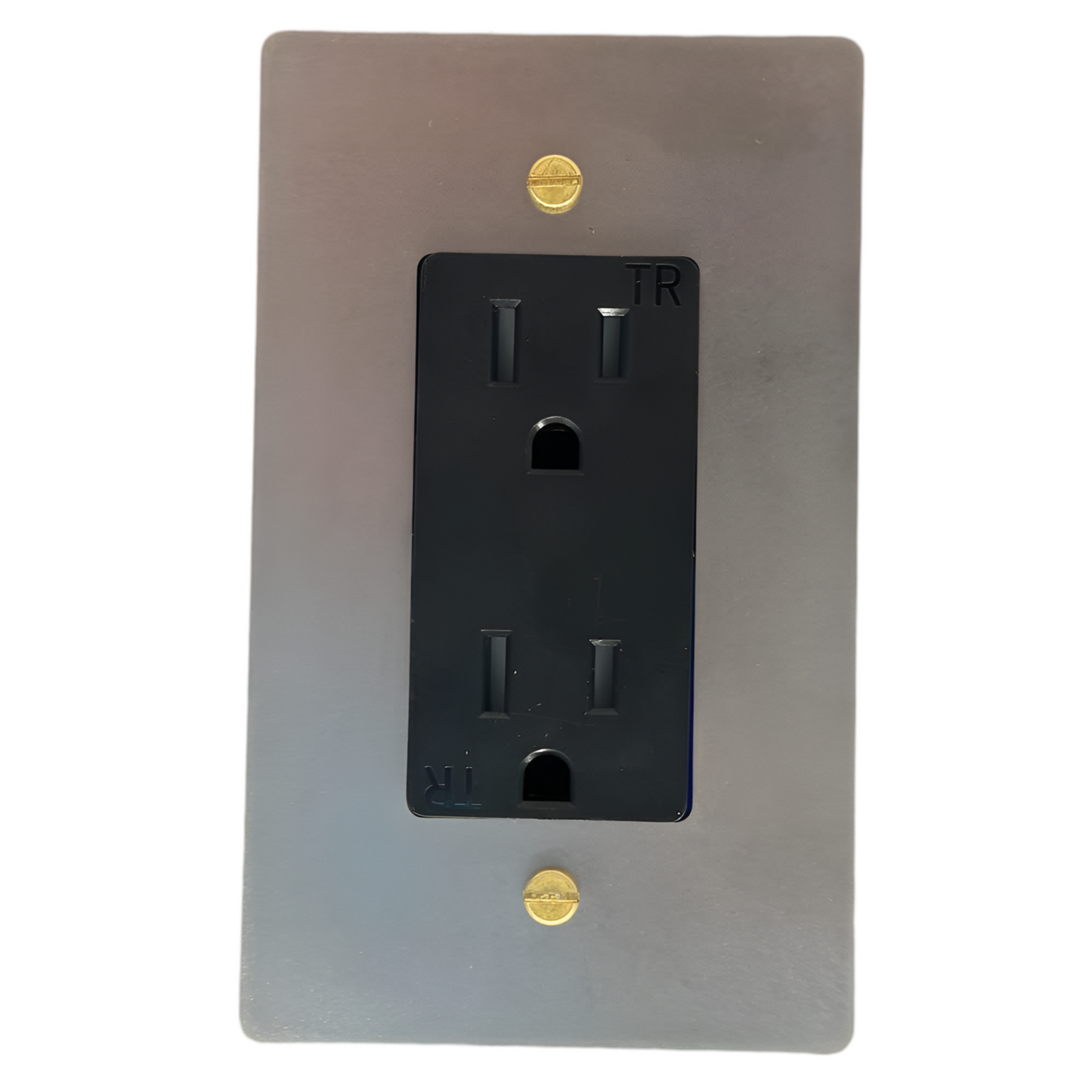 Brass Standard 15A Outlet (1-Gang) Stainless Steel With Satin Brass